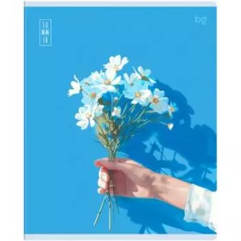 Тетрадь BG Лето, А5, 48 листов, клетка, в ассортименте