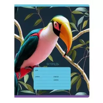 Тетрадь BG Super Mix, 24 листа, клетка, в ассортименте