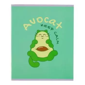 Тетрадь общая №1 School Avocat, А5, 48 листов, клетка, зеленая