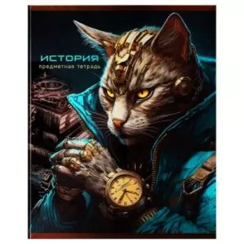 Тетрадь предметная BG Мир будущего История, 48 листов, металлизированный картон