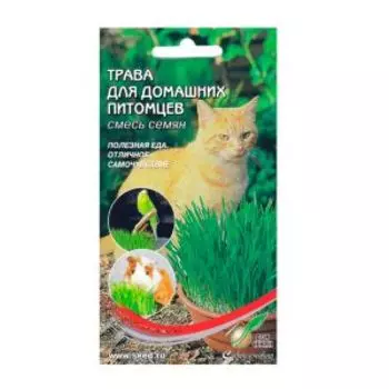 Трава для домашних питомцев