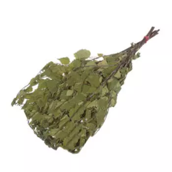 Веник берёзовый, эконом