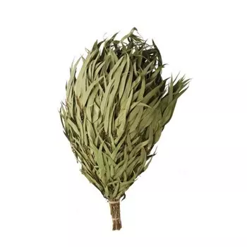 Веник для сауны эвкалиптовый Obsi