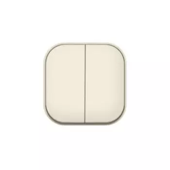 Выключатель двухклавишный Ionich, 10А