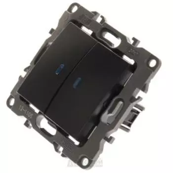 Выключатель двухклавишный Эра 12 с подсветкой, 10АХ-250В, антрацит