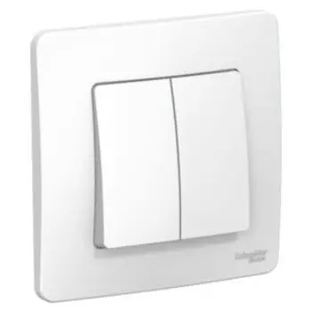 Выключатель двухклавишный SCHNEIDER, 10А