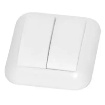 выключатель скрытая установка двухклавишный Реальная электрика С56-124