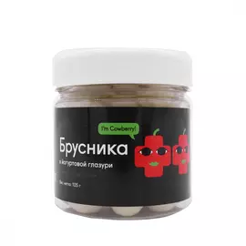 Брусника в йогуртовой глазури SNACK SNACK, 105 г