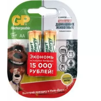 Аккумуляторы GP AA NiMH 1000mAh (2шт)