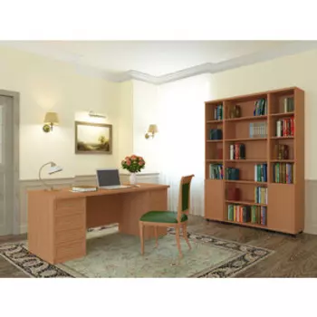 Кабинет БАРОНС ГРУПП Премьер 5