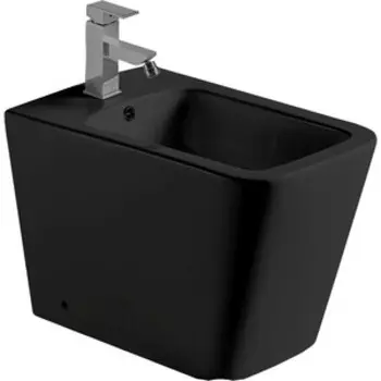 Биде напольное WeltWasser Gelbach 003 MT-BL черное матовое (10000003746)