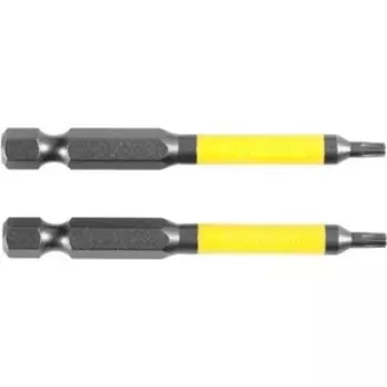 Бит Kraftool Industrie TX 20, 100мм 2шт (26105-20-100)