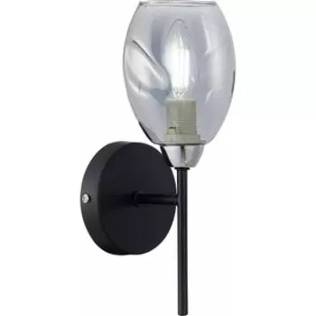 Бра Evoluce Gloa SLE155511-01