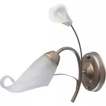 Бра MW-Light 242026601