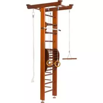 Детский спортивный комплекс Карусель 2Д.04.01 (с тренажером для осанки №2) Орех