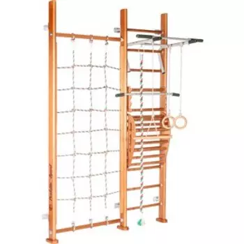 Детский спортивный комплекс PERFETTO SPORT Valore PS-106 с тренажёром Vinsere