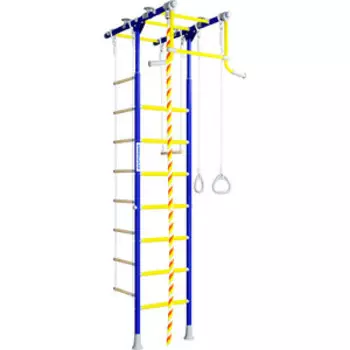 Детский спортивный комплекс Romana R1 (01.20.7.06.490.01.00-08) синяя слива