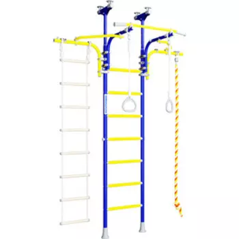 Детский спортивный комплекс Romana R6 (01.20.7.06.490.07.00-14) синяя слива