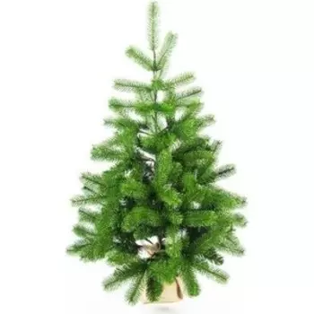 Елка искусственная Царь Елка Русская Красавица Премиум 90См