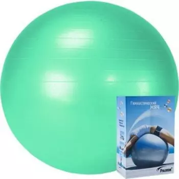 Фитбол Palmon 75 см r324075