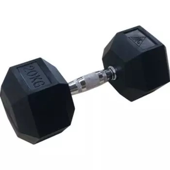 Гантели DFC 20кг (пара) DB001-20