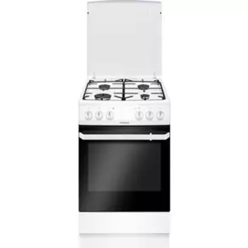 Газовая плита Hansa FCMW58069