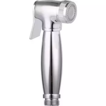 Гигиенический душ Aquanet Cinetic хром (246849)