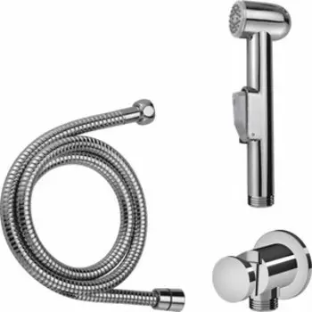 Гигиенический набор Am.Pm с шлангом и подключением душа (F0202100)