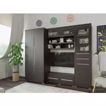 Гостиная Миф Эколь вариант №1 венге