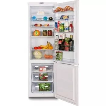 Холодильник DON R-295 Металлик искристый