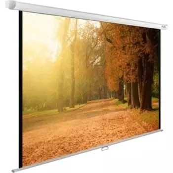 Экран Cactus 125x200 см WallExpert CS-PSWE-200x125-WT (CS-PSWE-200X125-WT)