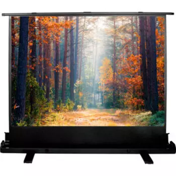 Экран Cactus 135x180 см FloorExpert CS-PSFLE-180X135 (CS-PSFLE-180X135)