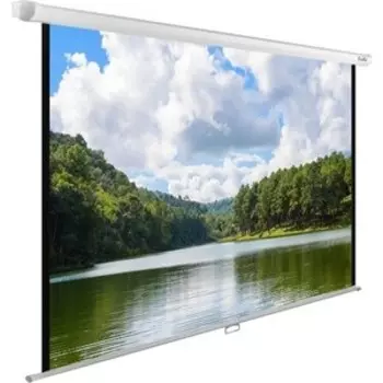 Экран Cactus 150x240 см WallExpert CS-PSWE-240x150-WT (CS-PSWE-240X150-WT)