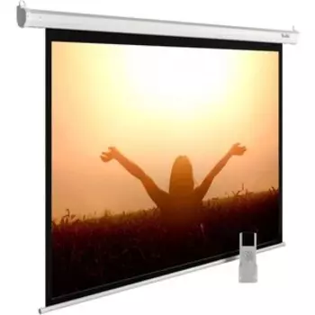 Экран Cactus 165x220 см MotoExpert CS-PSME-220x165-WT (CS-PSME-220X165-WT)