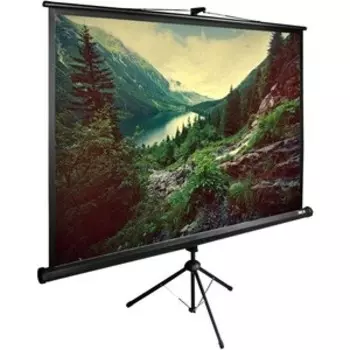 Экран Cactus 220x220 см TriExpert CS-PSTE-220x220-BK (CS-PSTE-220X220-BK)