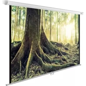 Экран Cactus 220x220 см WallExpert CS-PSWE-220x220-WT (CS-PSWE-220X220-WT)