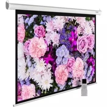 Экран Cactus 315x420 см MotoExpert CS-PSME-420x315-WT (CS-PSME-420X315-WT)