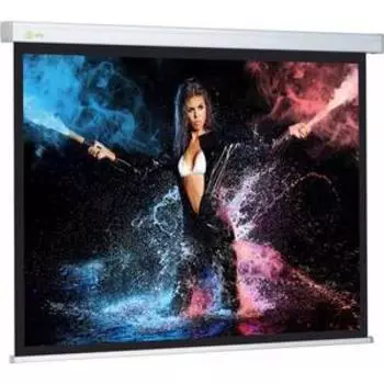 Экран для проектора Cactus CS-PSW-180x180 1:1 настенно-потолочный