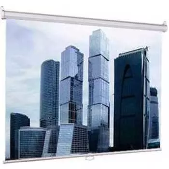 Экран Lumien Eco Picture LEP-100101