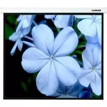 Экран Lumien Master Picture 180x180 (LMP-100103)