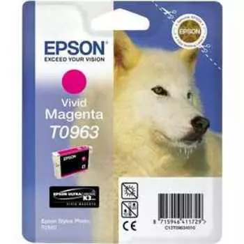 Картридж Epson R2880 (C13T09634010)