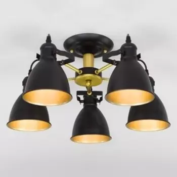 Люстра Eurosvet Потолочная Denley 70112/5 черный