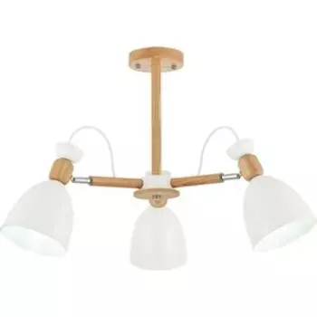 Люстра Evoluce Потолочная Balcamo SLE103802-03