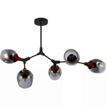 Люстра Evoluce Потолочная Ciotolla SLE113402-05