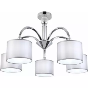 Люстра Evoluce Потолочная Snere SLE107202-05