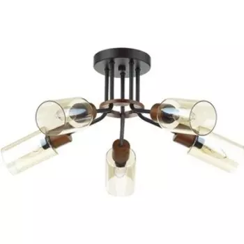 Люстра Lumion Потолочная Fern 4492/5C