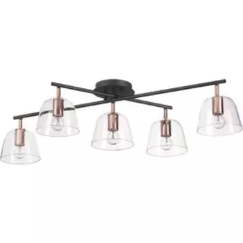 Люстра Lumion Потолочная Joseph 4455/5C