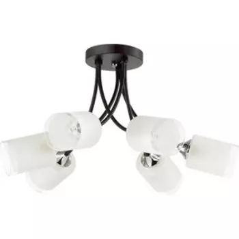 Люстра Lumion Потолочная Paula 4533/6C