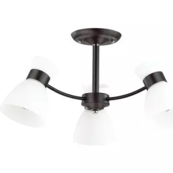 Люстра Lumion Потолочная Wilma 4534/3C