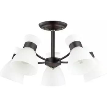 Люстра Lumion Потолочная Wilma 4534/5C